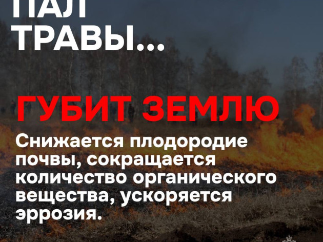 Пал травы